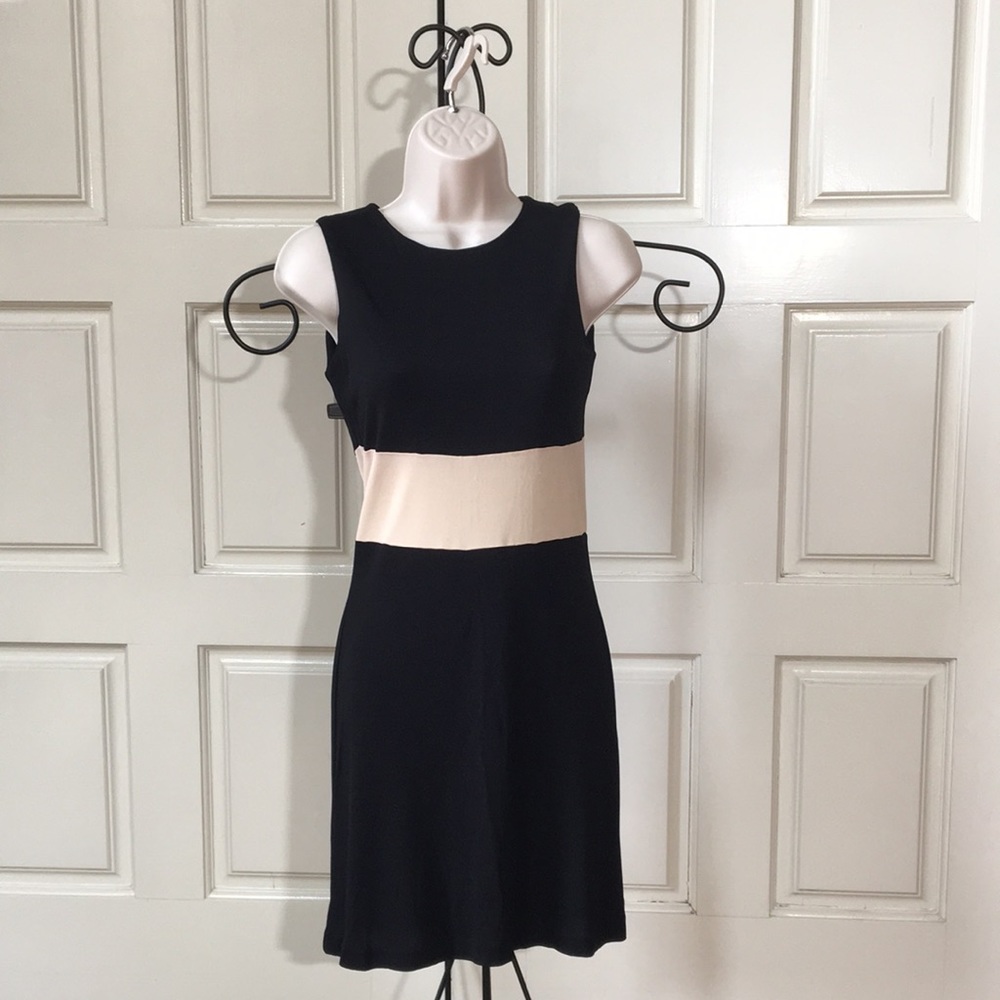 Banana Republic Rayon dress
